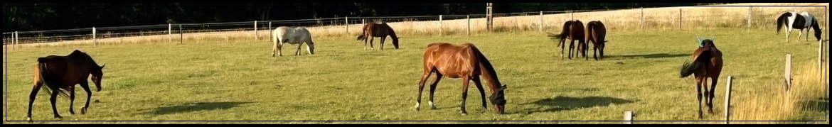 Carrousel de Vieux Moulin
